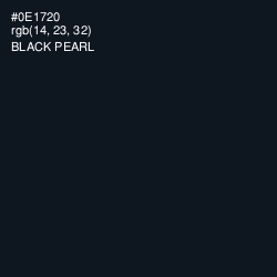 #0E1720 - Black Pearl Color Image